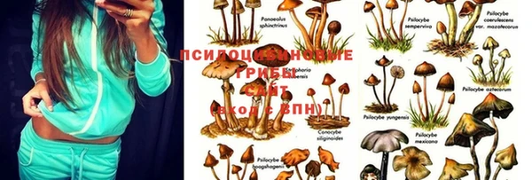 spice Лабытнанги