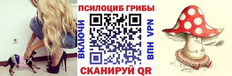 Галлюциногенные грибы Psilocybe  Енисейск 